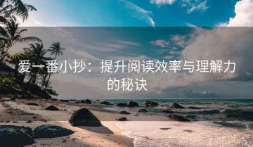 爱一番小抄：提升阅读效率与理解力的秘诀