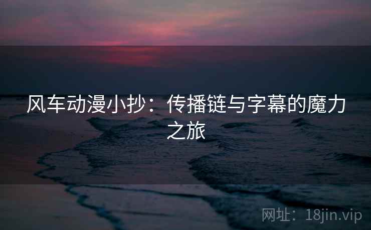 风车动漫小抄：传播链与字幕的魔力之旅