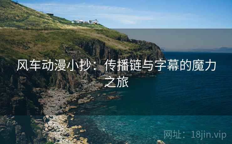 风车动漫小抄：传播链与字幕的魔力之旅